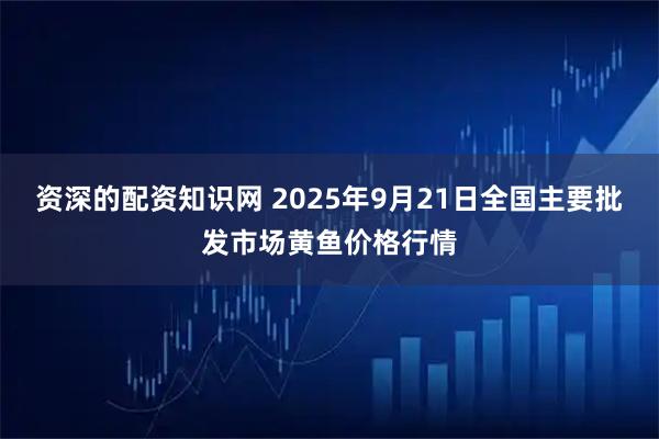 资深的配资知识网 2025年9月21日全国主要批发市场黄鱼价格行情