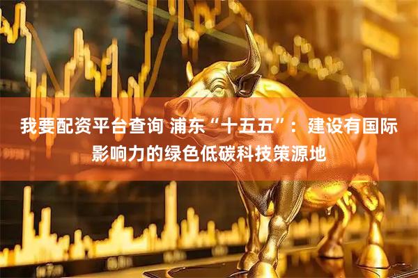 我要配资平台查询 浦东“十五五”：建设有国际影响力的绿色低碳科技策源地