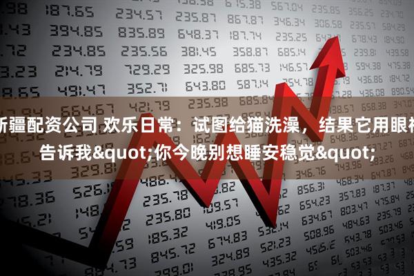 新疆配资公司 欢乐日常：试图给猫洗澡，结果它用眼神告诉我"你今晚别想睡安稳觉"