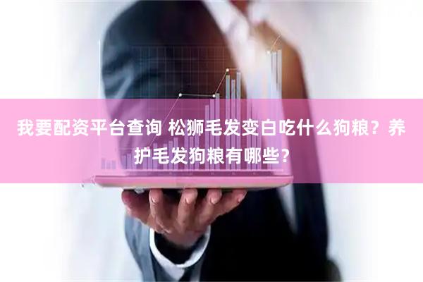 我要配资平台查询 松狮毛发变白吃什么狗粮？养护毛发狗粮有哪些？