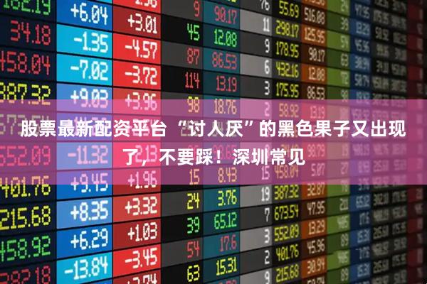 股票最新配资平台 “讨人厌”的黑色果子又出现了,不要踩!深圳常见